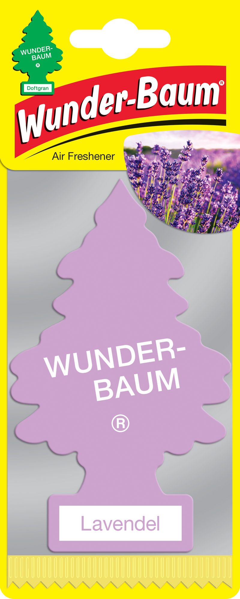 Wunder-Baum "Lavendel"